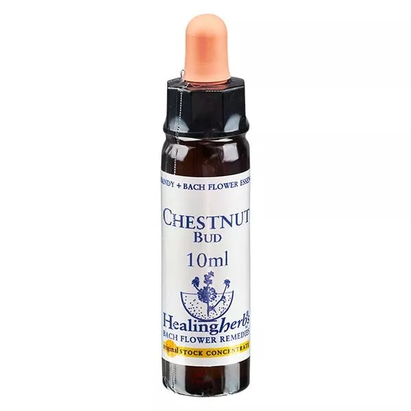 7 Chestnut Bud, 10ml, Healing Herbs