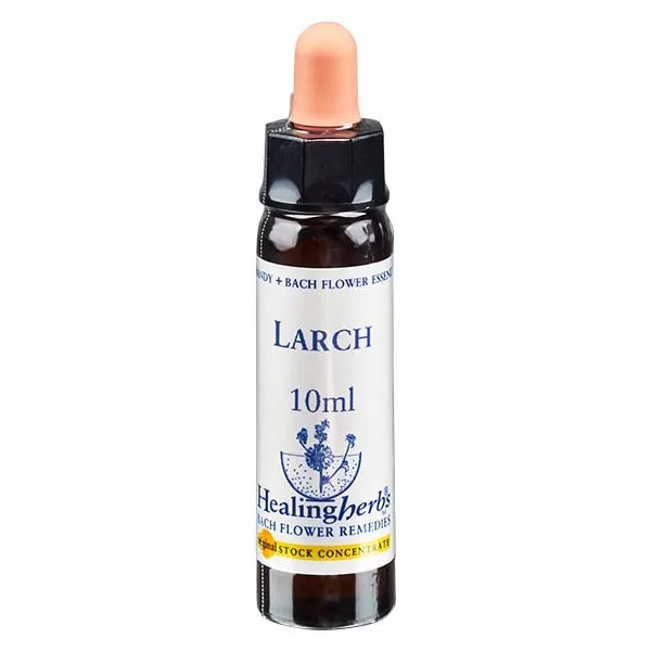 19 Larch, 10ml, Healing Herbs