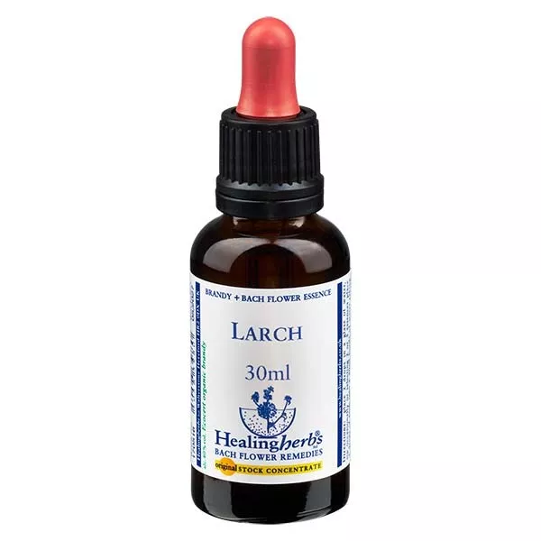 19 Larch, 30ml, Healing Herbs