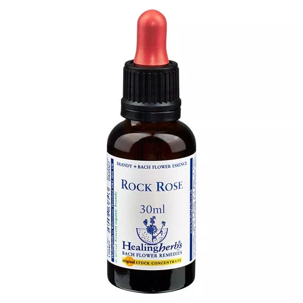 26 Rock Rose, Healing Herbs