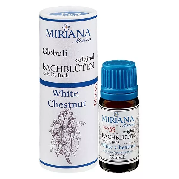 35 White Chestnut, 10g Bach-Globuli, MirianaFlowers