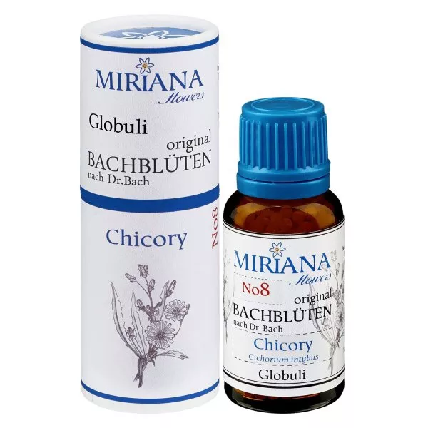 8 Chicory, 20g Bach-Globuli, MirianaFlowers