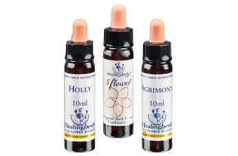 Alkoholische Einzelessenzen 10ml